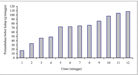 Gambar 1. Pertambahan bobot hidup dari umur 0–12 minggu pada ayam Kampung 