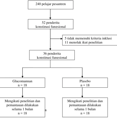 Gambar 4.1. Profil penelitian selama 1 bulan 