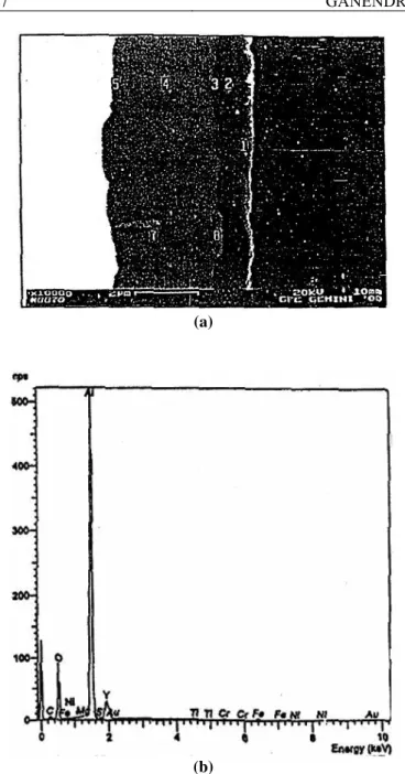 Gambar 3. (a) Tampang lintang struktur mikro hasil pengamatan menggunakan SEM dari  cuplikan material MA 956 tanpa implantasi setelah proses oksidasi selama 100  jam pada suhu  1100  o C (b) Spektrum EDX pada lapisan oksida