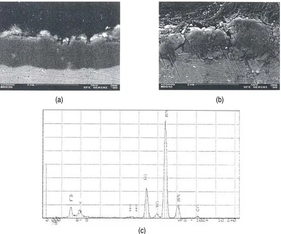 Gambar 1. Tampang-lintang mikrograf-SEM, (a) cuplikan MA956 yang diimplantasi dengan ion yttrium, (b)  cuplikan MA956 yang tidak diimplantasi, setelah proses oksidasi di atmosfir pada suhu 950  o C  selama 100 jam, dan (c) spektrum EDAX permukaan cuplikan