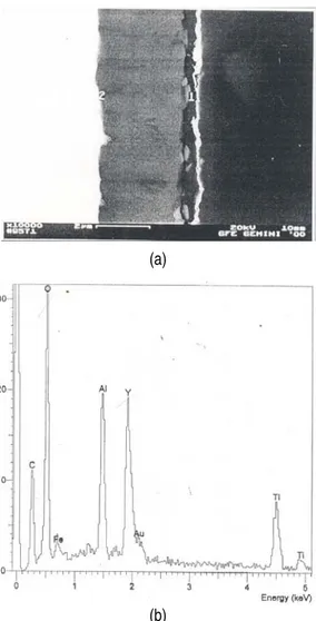 Gambar 2. Tampang-lintang mikrografi-SEM, (a) cuplikan MA956 yang diimplantasi dengan ion yttrium  setelah oksidasi pada 1.100  o C selama 100 jam, dan (b) spektrum EDAX pada lapisan oksida