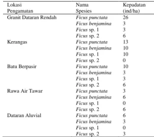Tabel  3.  Pola  Penyebaran  Ficus  spp.  di  Stasiun  Penelitian Cabang panti, Taman Nasional Gunung  Palung  Lokasi   Pengamatan  Nama  Spesies  Indeks  Morisita  Pola  Penyebaran  Granit Dataran Rendah  Ficus punctata  1, 392  Mengelompok 