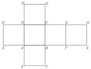 Gambar 1.2 jaring-jaring  kubus 