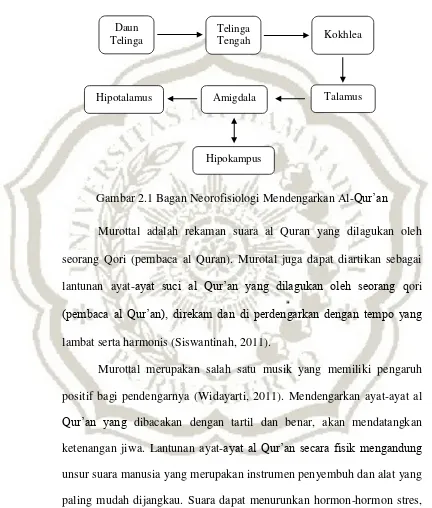 Gambar 2.1 Bagan Neorofisiologi Mendengarkan Al-Qur‟an 