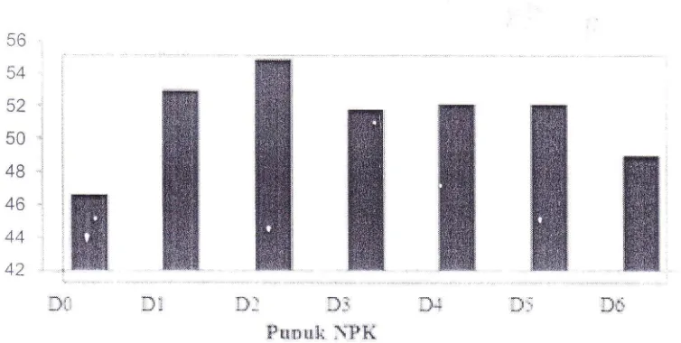 Gambar 4. Pengaruh pupuk NPK terhadap panjang tangkai