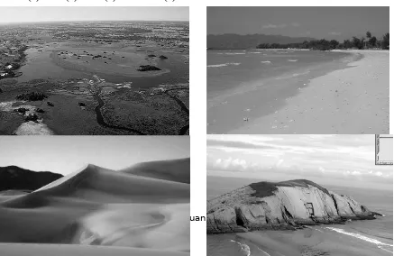 Gambar Berbagai macam bentukan hasil pengendapan. (1) Delta (2) Beach(3) Sand dunes(4) Tombolo