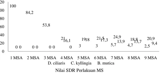 Gambar 2. Grafik perbandingan spesies gulma dominan pada perlakuan MS  Keterangan: MSA = minggu setelah aplikasi 