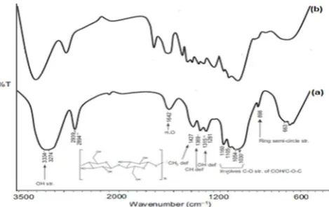 Fig. 1. XRD powder pattern of (a) cellulose standard and (b) cellulose from wood powder. 