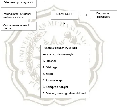 Gambar  2.2 Kerangka Teori Penurunan Nyeri Dismenore (Bobak, 2004) 