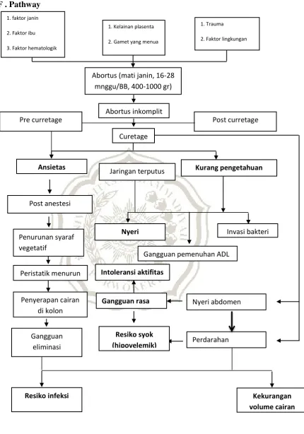 Gambar 2.2 Pathways  