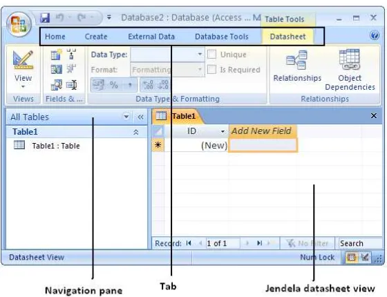 Gambar 2.17 tampilan jendela database (access 2007) [8] 