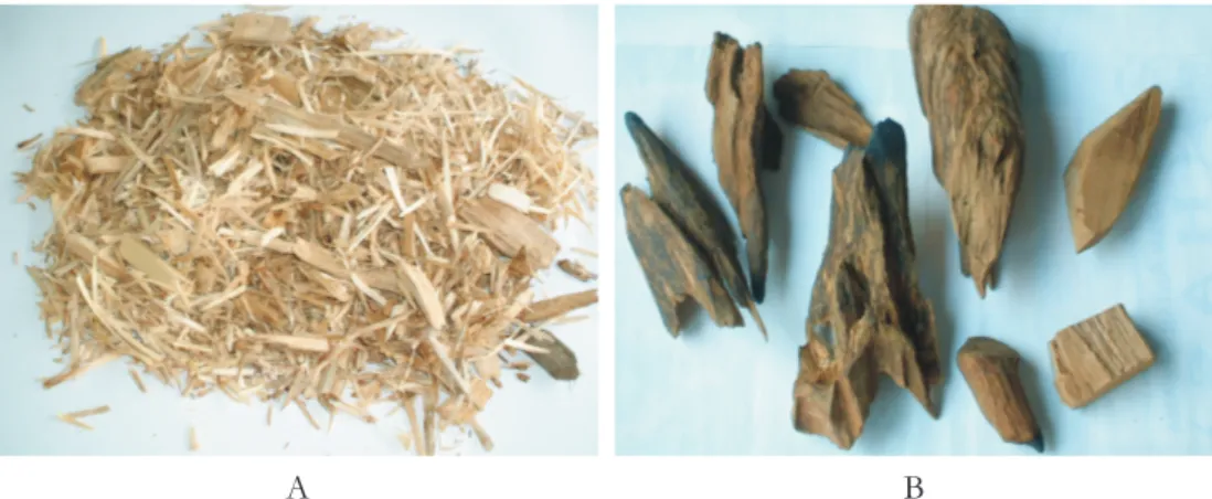 Gambar  3.    Contoh  uji  kayu  gaharu  tanaman  (A)  dan  kayu  gaharu  alami  Irian  (B) Figure  3