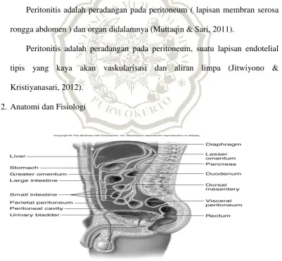 Gambar II. 1 Anatomi Peritonium 