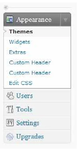Gambar 12. Sub menu dalam Appearance  