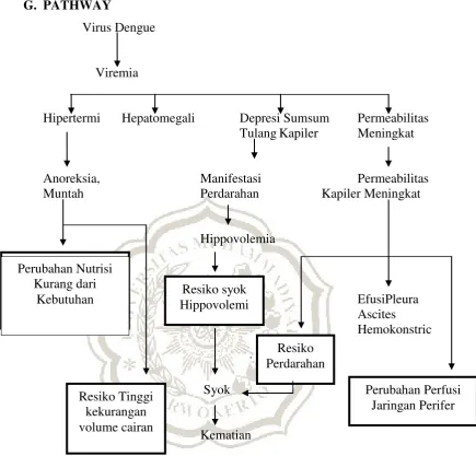 Gambar 2.2 Pathway 