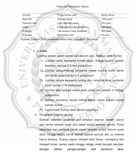 Tabel 2.5 Perubahan Uterus 