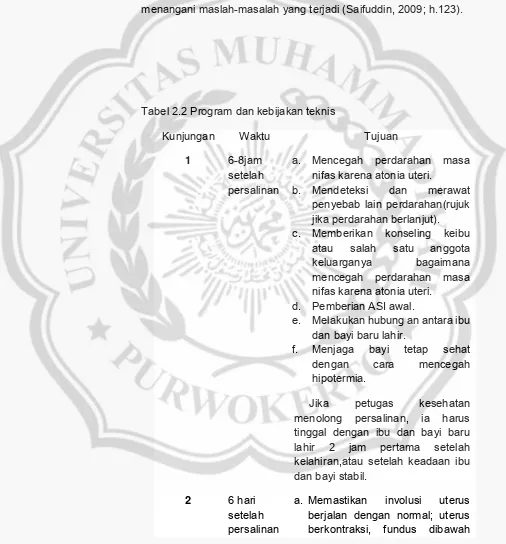 Tabel 2.2 Program dan kebijakan teknis 