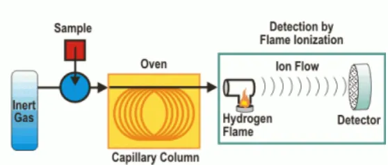 Figure 4. Principle of Gas Chromatography - Flame Ionization Detector 