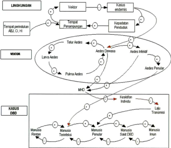 Gambar  1. Causal loop Diagram untuk  model intervensi  pengendalian  DBD.  