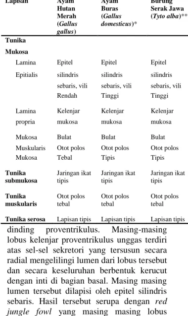 Tabel  5.  Hasil  Pengamatan  Mikroskopis  Proventrikulus  Ayam  Hutan  Merah 