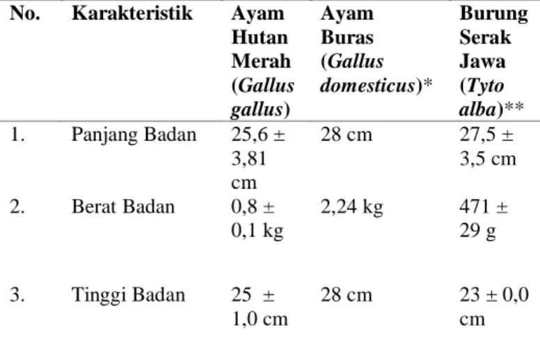 Tabel 1. Rerata Morfologi Ayam Hutan  Merah (Gallus gallus)  