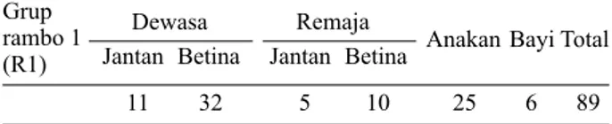 Tabel 1. Komposisi kelompok R1 berdasarkan perbedaan  kelompok umur dan jenis kelamin di CA  Tangkoko-Batuangus
