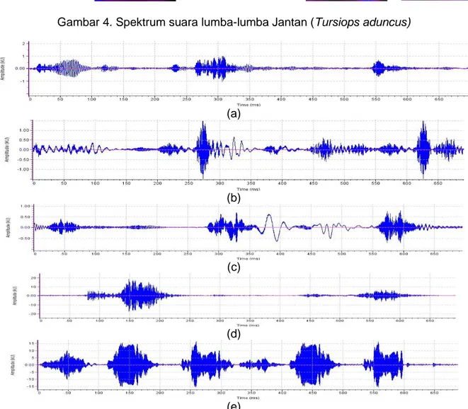 Gambar 4. Spektrum suara lumba-lumba Jantan (Tursiops aduncus) 