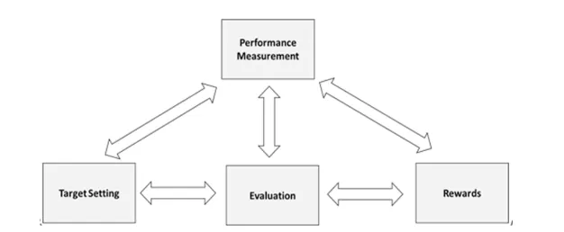 Figure 1. Performance Management System (PMS)