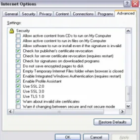Gambar 2.1. Opsi Penggunaan SSL pada Fitur Security di Dalam Internet Explorer 