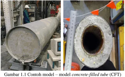 Gambar 1.1 Contoh model – model concrete-filled tube (CFT)  dengan menggunakan Single dan double-skin tube  