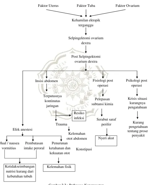 Gambar 2.2 : Pathways Keperawatan 