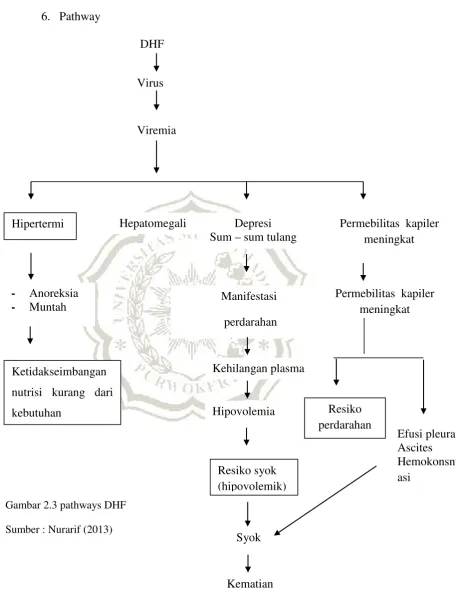 Gambar 2.3 pathways DHF 
