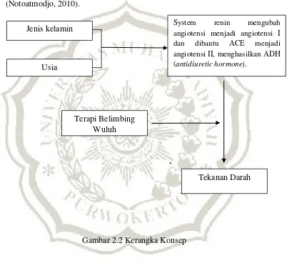 Gambar 2.2 Kerangka Konsep 