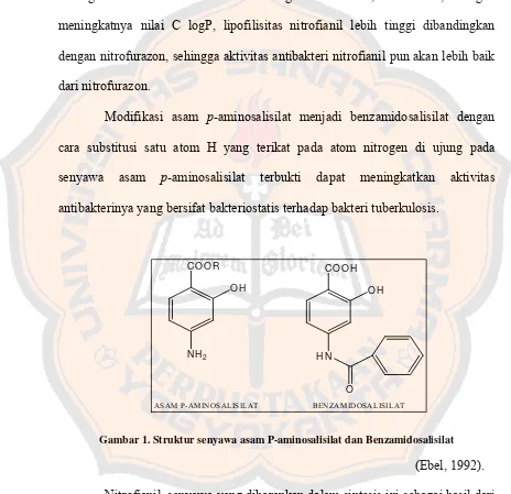 Gambar 1. Struktur senyawa asam P-aminosalisilat dan Benzamidosalisilat 