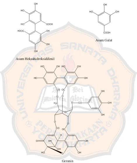 Gambar 2. Struktur kimia tanin yang dapat terhidrolisis (Geraniin) dan penyusunnya, Asam Heksahidroksidifenil dan Asam Galat (Mills and Kerry, 2000)