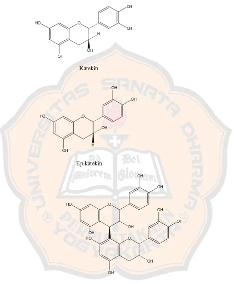 Gambar 3. Struktur kimia tanin terkondensasi (Procyanidin B-2) dan penyusunnya, Katekin dan Epikatekin (Mills and Kerry, 2000)