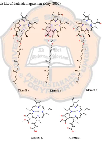 Gambar 2. Struktur Kimia Klorofil a, b, c1, c2, dan d (May, 2002) 