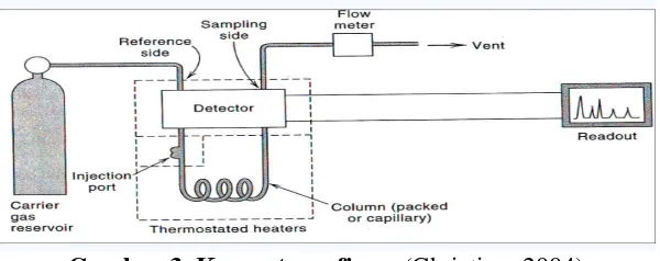 Gambar 3. Kromatografi gas (Christian, 2004)