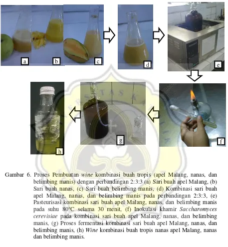 Gambar 6. Proses Pembuatan wine kombinasi buah tropis (apel Malang, nanas, dan 