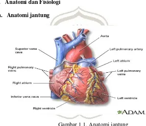 Gambar 1.1. Anatomi jantung  http://umm.edu/health/medical/reports/articles/coronary-artery-disease