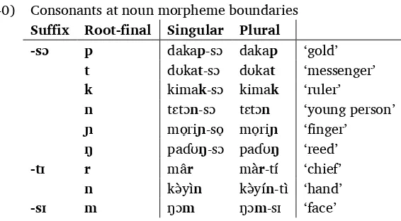 Table 5. Three ways of forming singular and plural nouns 