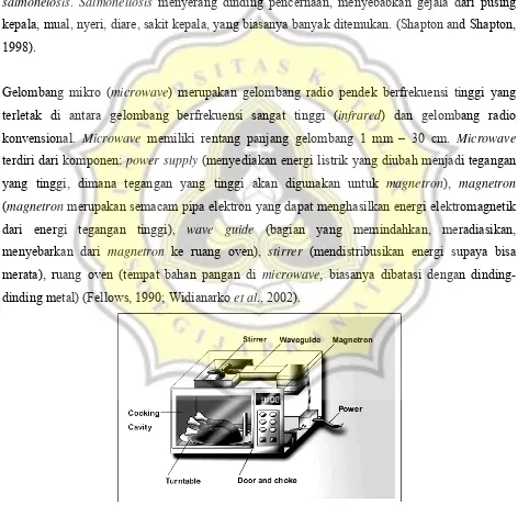 Gambar 2 Struktur Umum Microwave (Sumber:http://www.fehd.gov.hk/english/safefood/report/microwave/microwave_ra_e.pdf) 