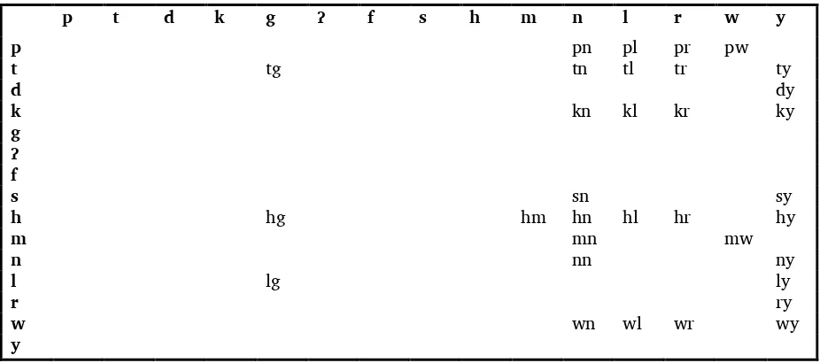 Table 6. Syllable onset clusters 