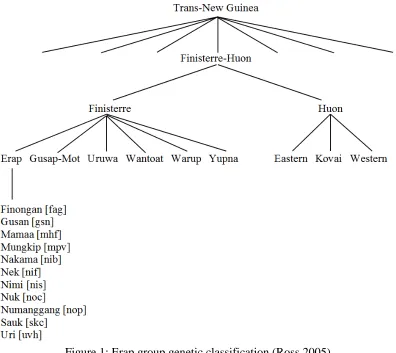 Figure 1: Erap group genetic classification (Ross 2005) 
