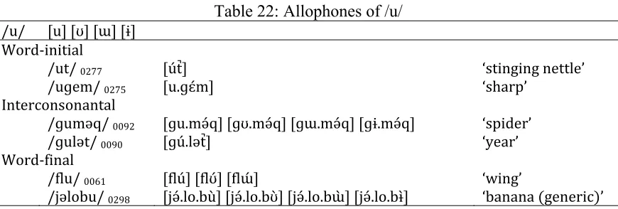 Table 22: Allophones of /u/ 