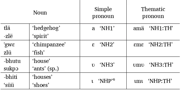 Table 2.4. Examples of non-human nouns and their corresponding pronouns 