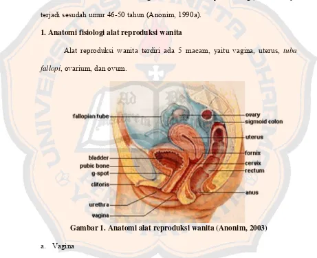 Gambar 1. Anatomi alat reproduksi wanita (Anonim, 2003) 