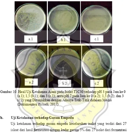 Gambar 10. Hasil Uji Ketahanan Asam pada Isolat T1C30 terhadap pH 3 pada Jam ke 0 