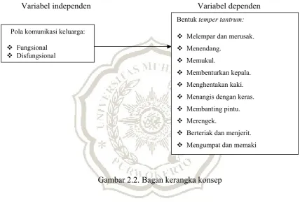 Gambar 2.2. Bagan kerangka konsep 