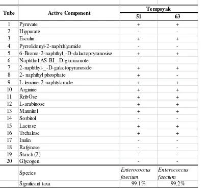 Table 1. Identification of Lactic Acid Bacteria Isolates into Genera Level